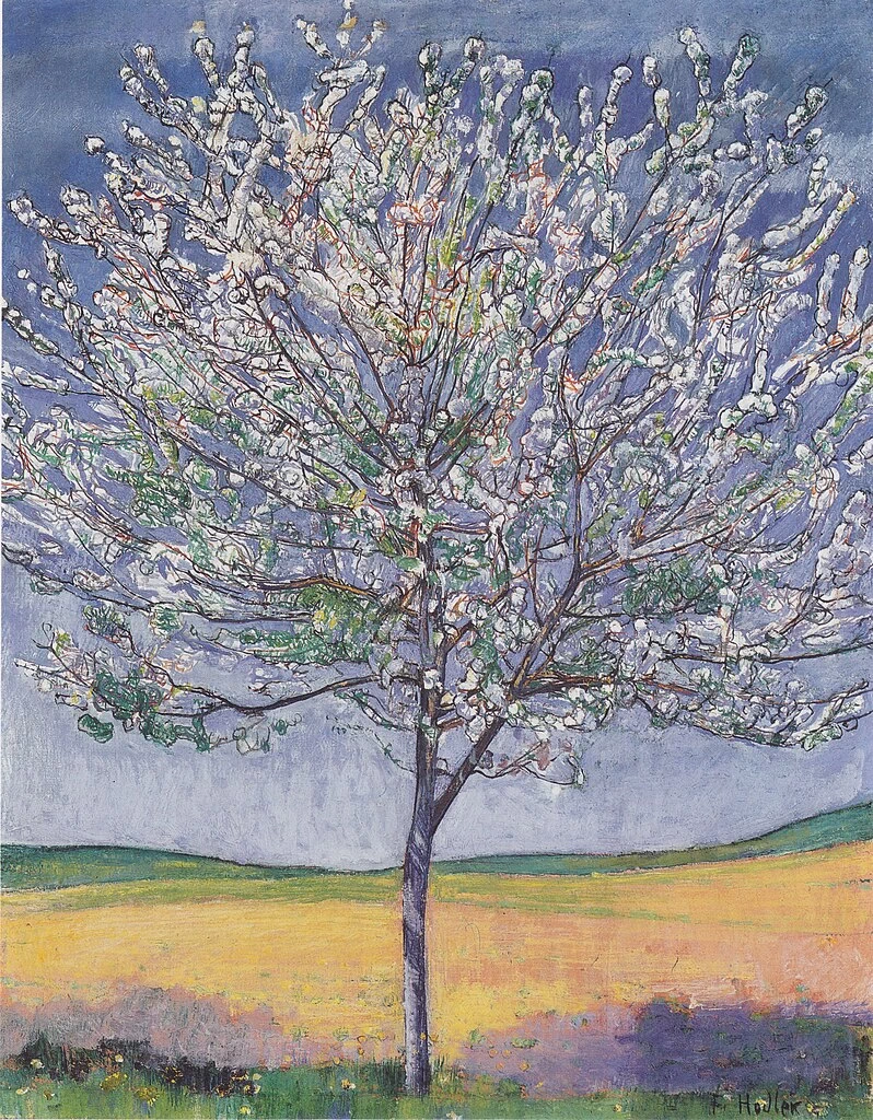 Ciliegio in fiore - 1905
